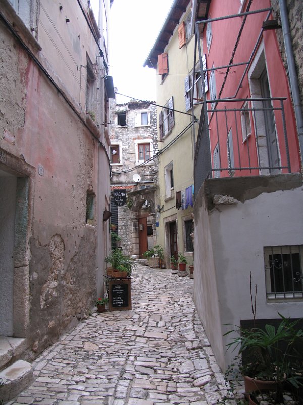 2012-09-13 12-58-05 Ludo.JPG